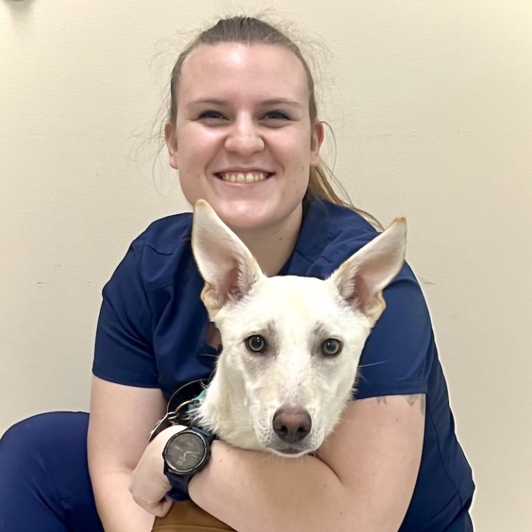 Meet Our Staff Krystal Bethany Family Pet Clinic